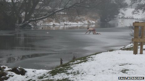 Wolly on the Ice